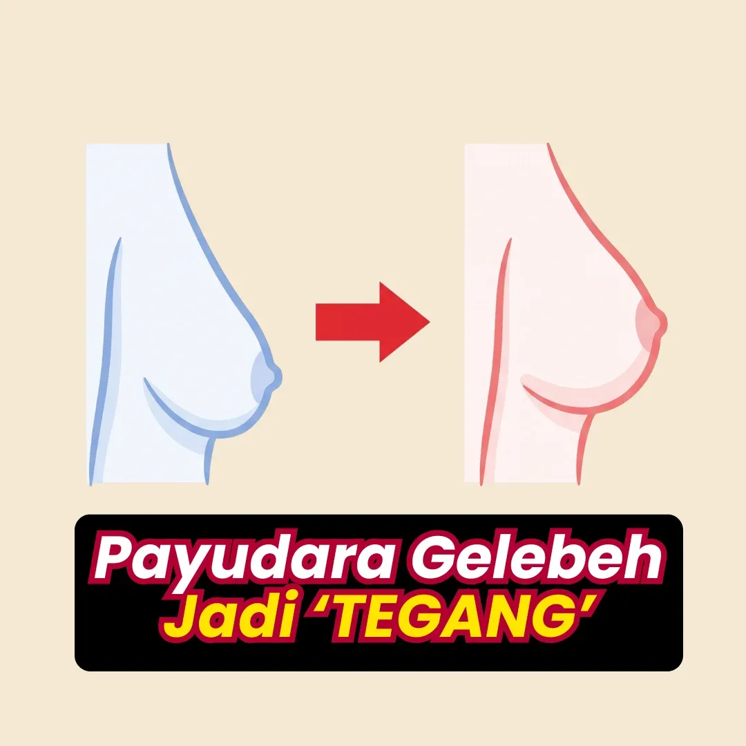 Aset Anjal